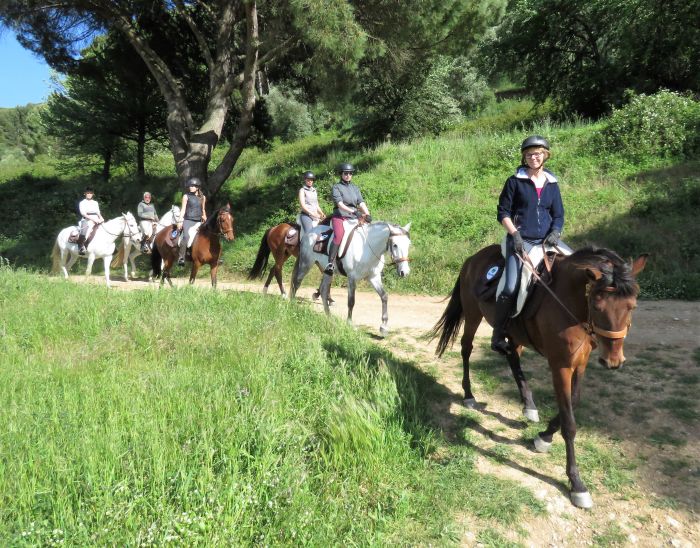 Trail jusqu'à la baie des Dauphins