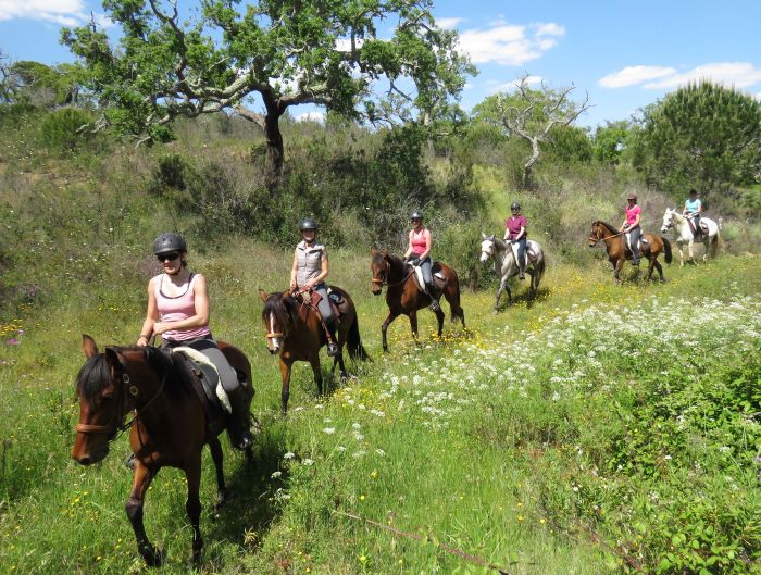 Trail jusqu'à la baie des Dauphins
