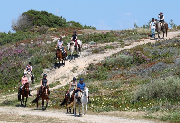 Trail jusqu'à la baie des Dauphins