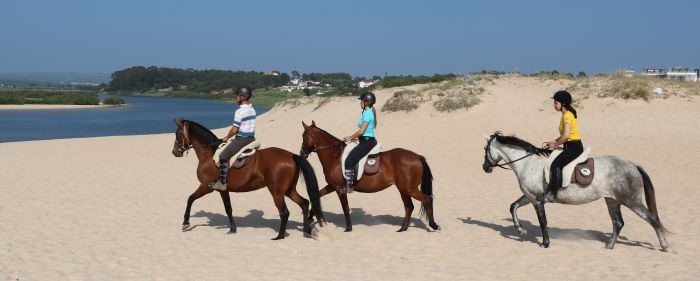 Trail jusqu'à la baie des Dauphins