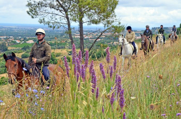 Trail jusqu'à la baie des Dauphins