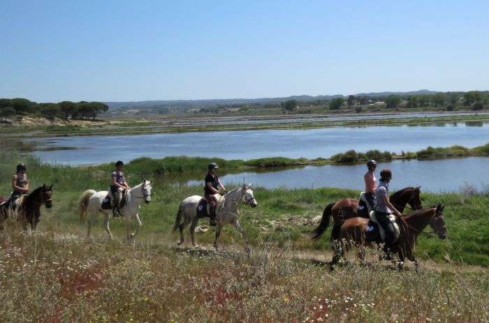 Trail jusqu'à la baie des Dauphins