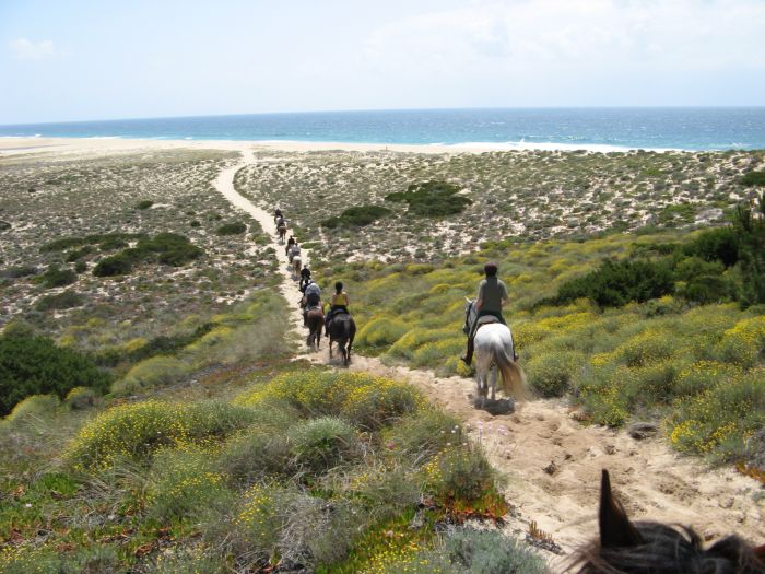 Balade de la côte des dauphins