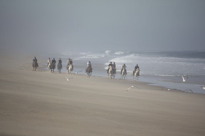 Balade de la côte des dauphins