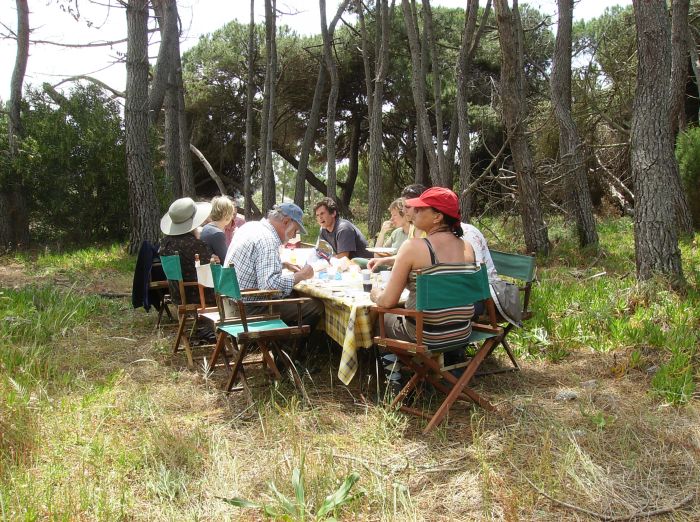 Balade de la côte des dauphins