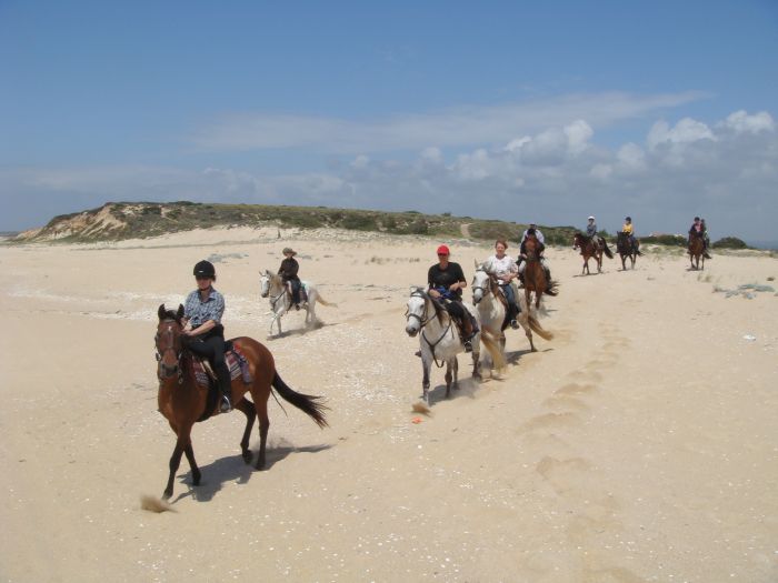Balade de la côte des dauphins