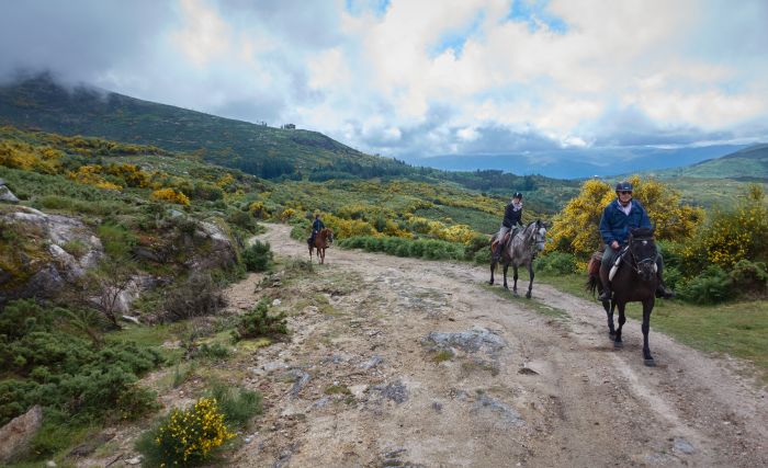 Sentier des chevaux sauvages