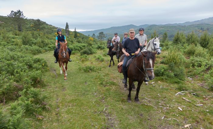 Sentier des chevaux sauvages