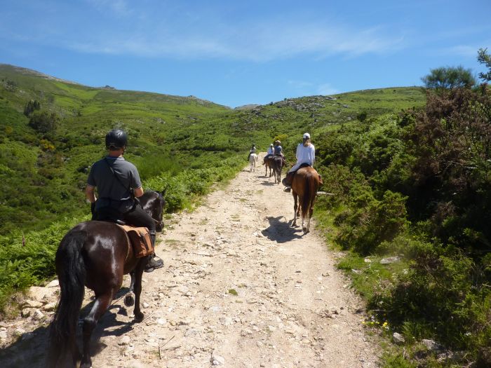 Sentier des chevaux sauvages