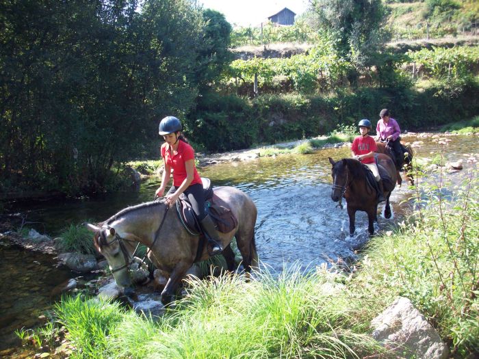 Sentier des chevaux sauvages