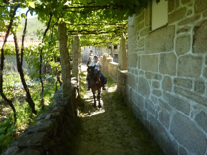 Sentier des chevaux sauvages