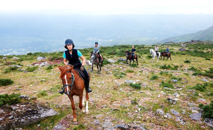 Sentier des chevaux sauvages
