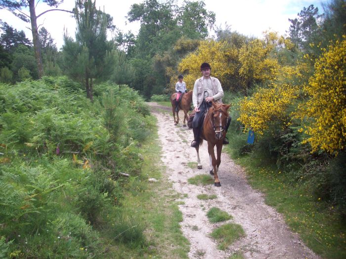 Sentier des chevaux sauvages