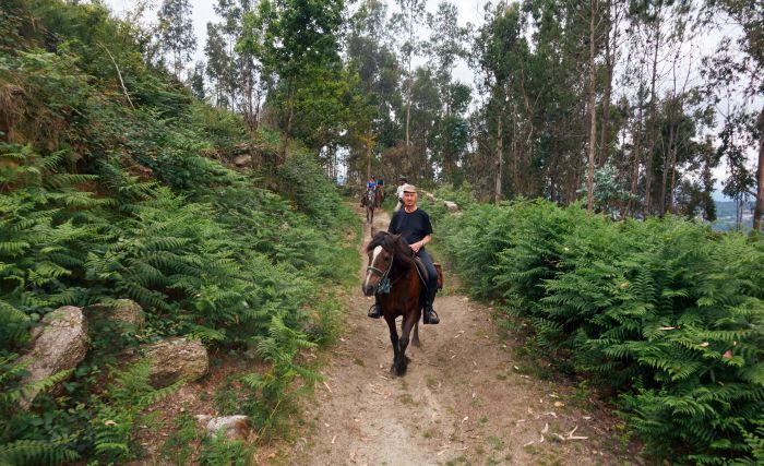 Sentier des chevaux sauvages
