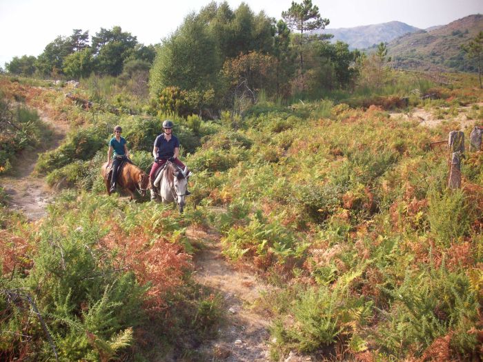 Sentier des chevaux sauvages