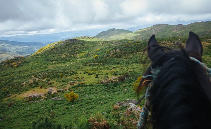 Sentier des chevaux sauvages