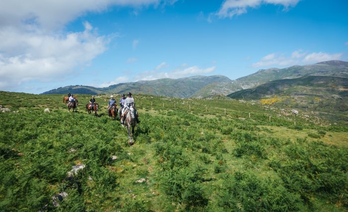 Sentier des chevaux sauvages