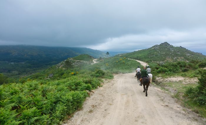 Sentier des chevaux sauvages