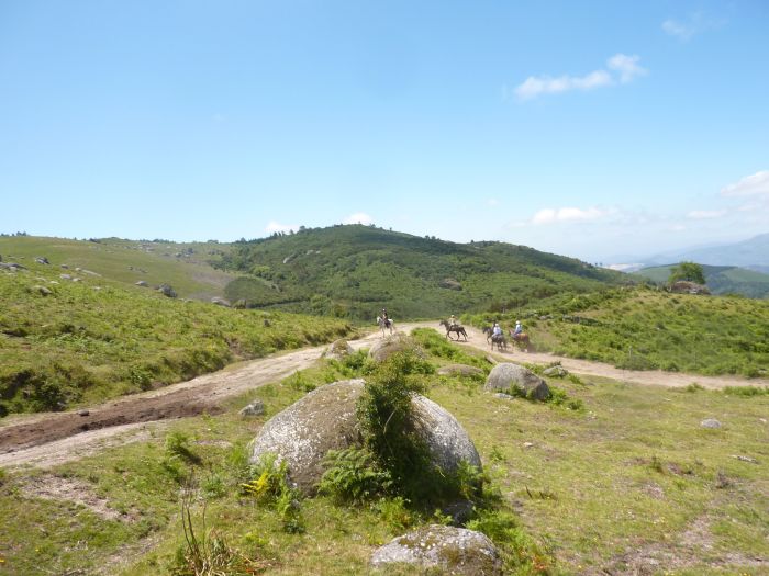 Sentier des chevaux sauvages
