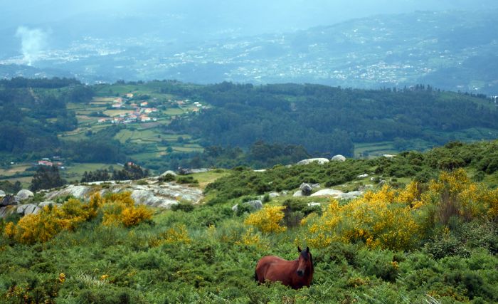 Sentier des chevaux sauvages
