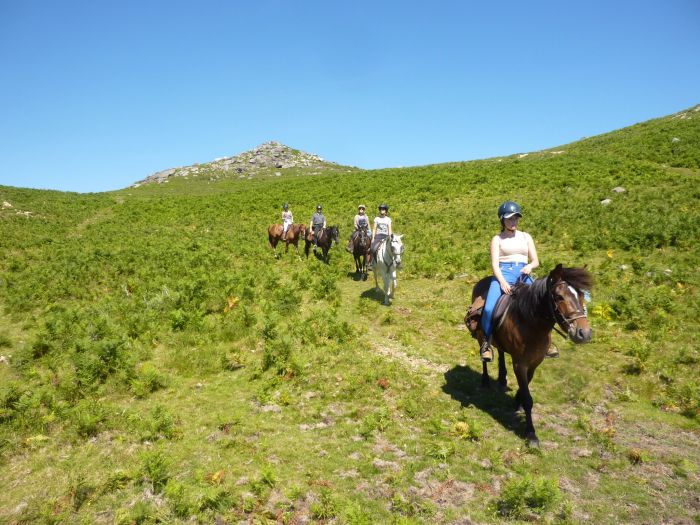 Sentier des chevaux sauvages