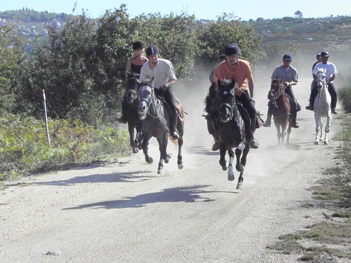 Sentier des chevaux sauvages