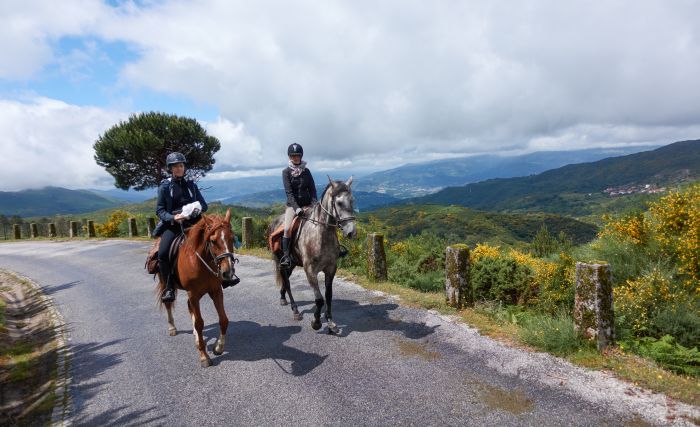 Sentier des chevaux sauvages