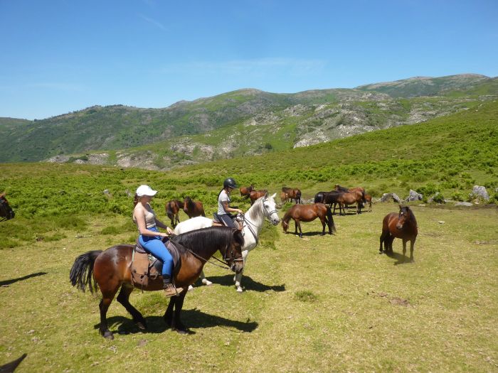 Sentier des chevaux sauvages