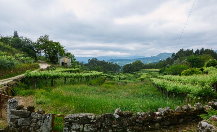 Sentier des chevaux sauvages