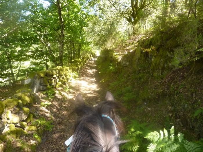Sentier des chevaux sauvages