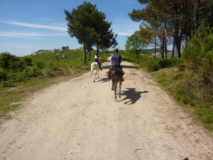 Sentier des chevaux sauvages