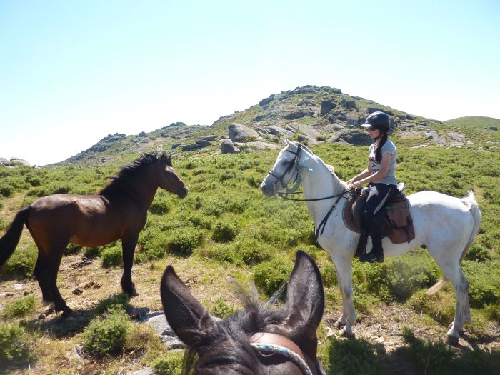 Sentier des chevaux sauvages