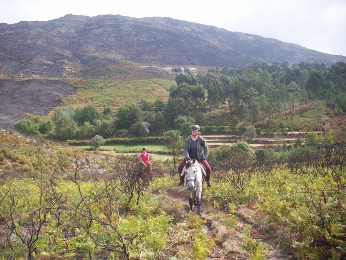 Sentier des chevaux sauvages