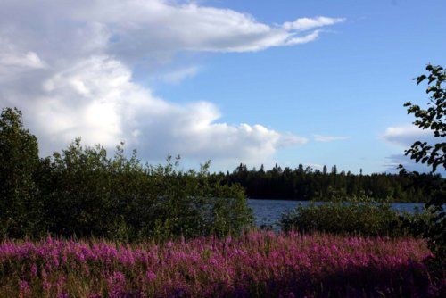 Une semaine au cœur de la Finlande