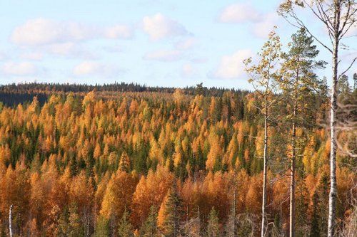 Une semaine au cœur de la Finlande