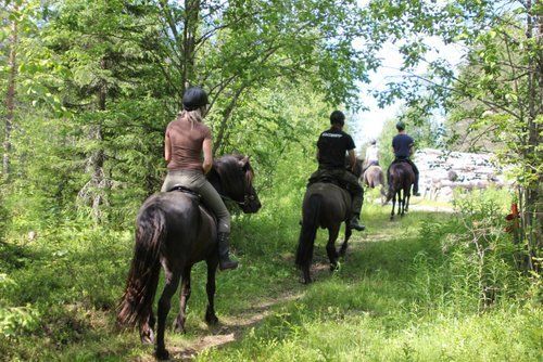 Une semaine au cœur de la Finlande