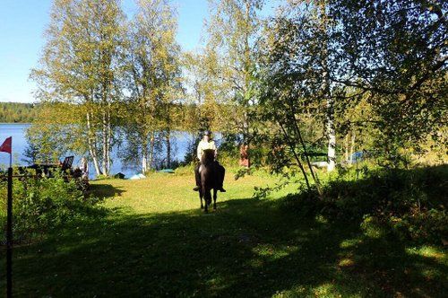 Une semaine au cœur de la Finlande