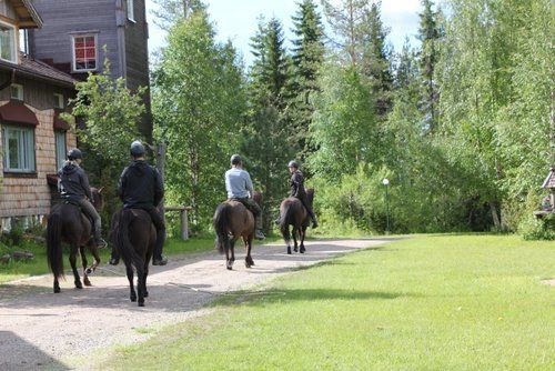 Une semaine au cœur de la Finlande