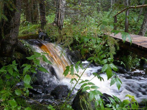 Une semaine au cœur de la Finlande