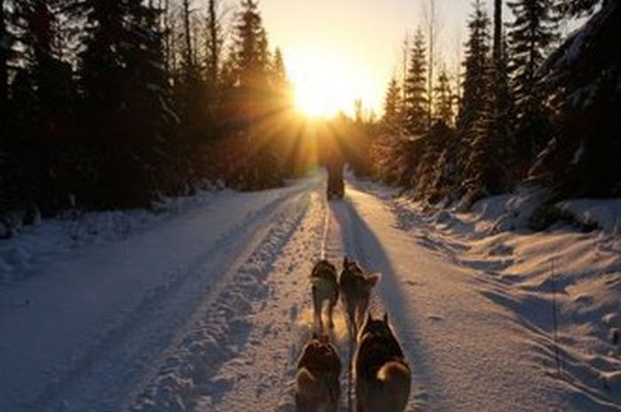 Aventures hivernales au cœur de la Finlande