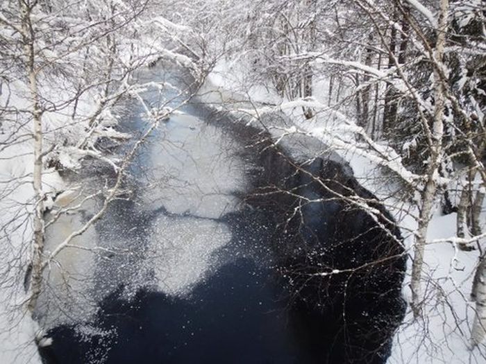 Aventures hivernales au cœur de la Finlande