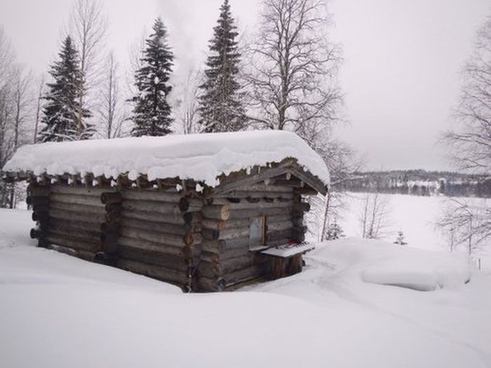 Aventures hivernales au cœur de la Finlande