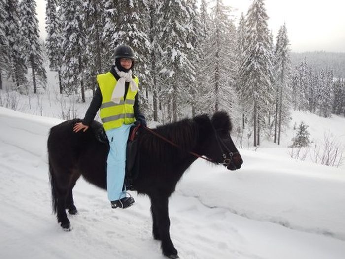 Aventures hivernales au cœur de la Finlande