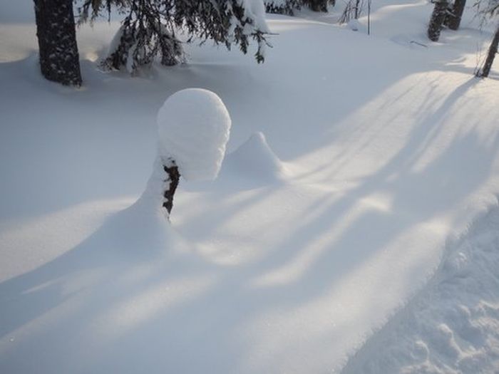 Aventures hivernales au cœur de la Finlande