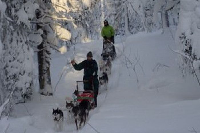Aventures hivernales au cœur de la Finlande