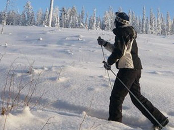 Aventures hivernales au cœur de la Finlande