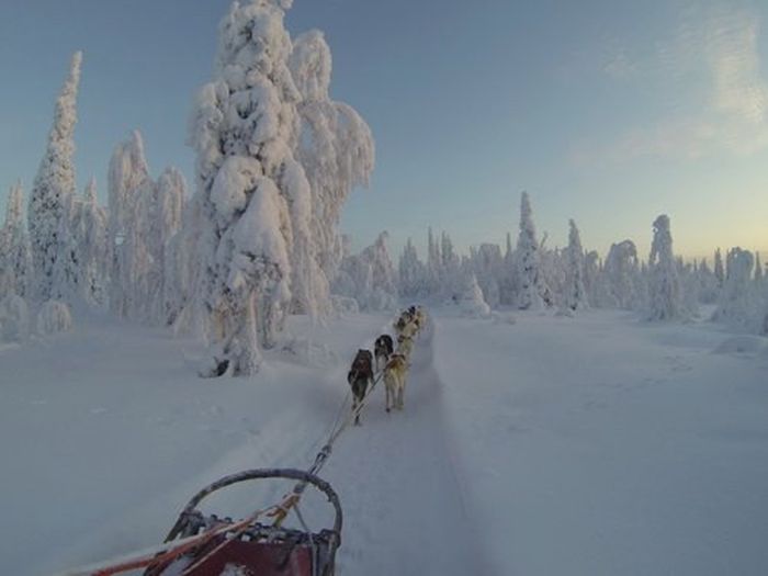 Aventures hivernales au cœur de la Finlande