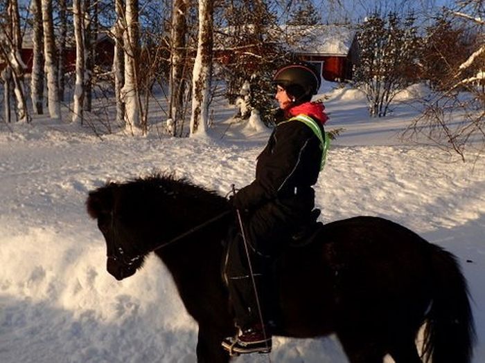 Aventures hivernales au cœur de la Finlande