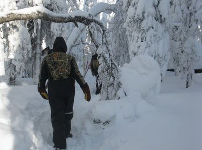 Aventures hivernales au cœur de la Finlande