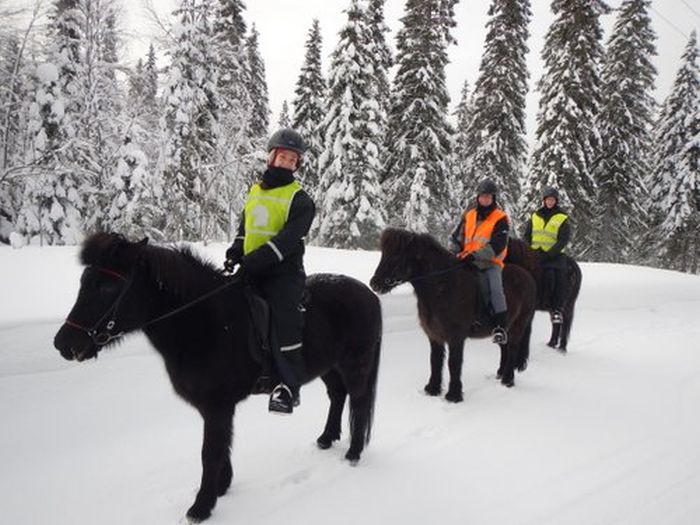 Aventures hivernales au cœur de la Finlande